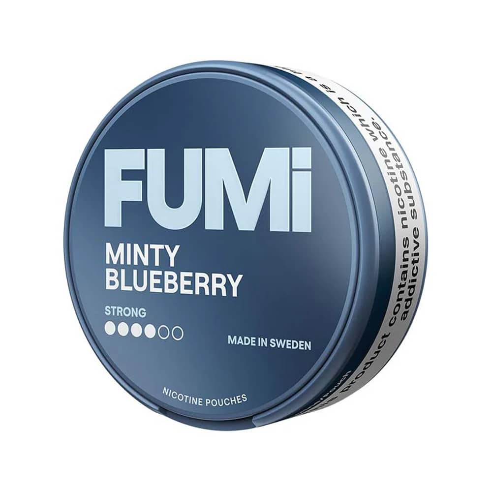 Fumi - Minty Blueberry | 10 Cans