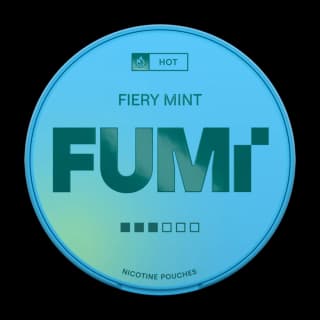 Fumi - Fiery Mint | 10 Cans