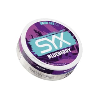 SYX - Blueberry | 10 Cans