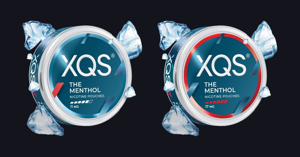 XQS - The Menthol | 10 Cans