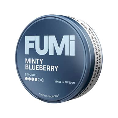 Fumi - Minty Blueberry | 10 Cans