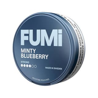 Fumi - Minty Blueberry | 10 Cans