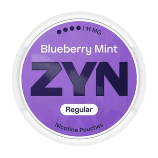 ZYN Blueberry Mint | 5 Cans