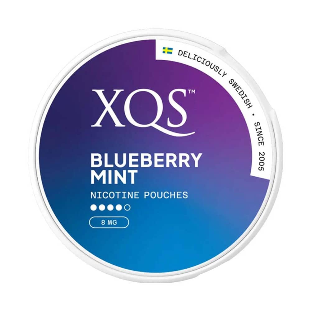 XQS - Blueberry Mint | 10 Cans