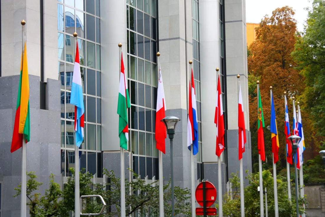 Row of EU member state flags outside the European Parliament, symbolising the EU ban on oral tobacco