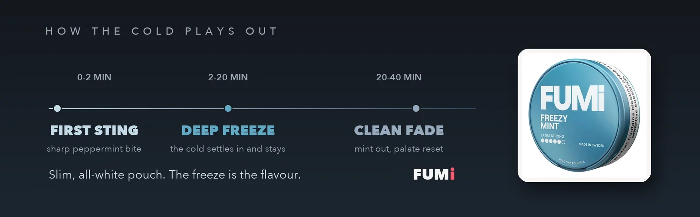 Fumi Freezy Mint cold curve from first peppermint sting through deep freeze to a clean fade over 40 minutes