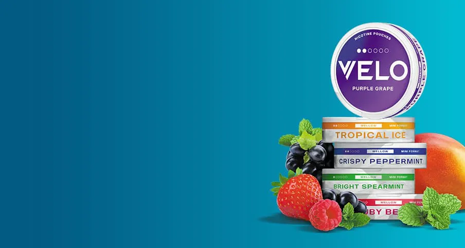 Official VELO banner showing a stack of mini format nicotine pouch cans with mellow dot gauges and fresh fruit