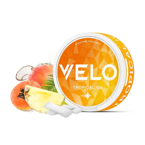 VELO Tropical Ice nicotine pouches can in orange and yellow, shown with pineapple, papaya, coconut and slim white tobacco-free pouches