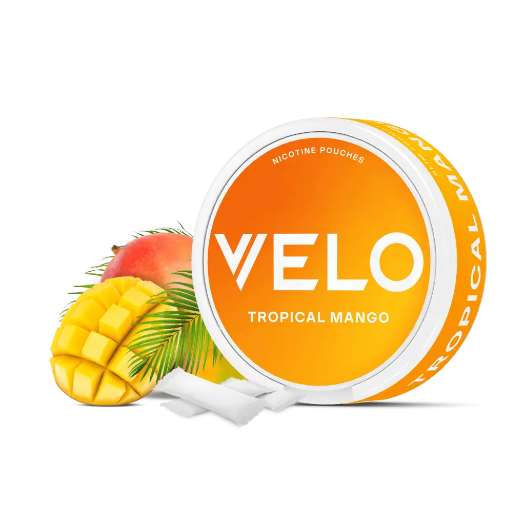 Official VELO Tropical Mango nicotine pouches slim can beside fresh mango, palm leaves and white slim pouches