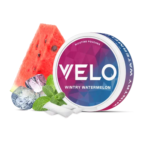 VELO Wintry Watermelon nicotine pouches can in pink and blue, shown with a watermelon slice, ice cubes, mint leaves and slim white pouches