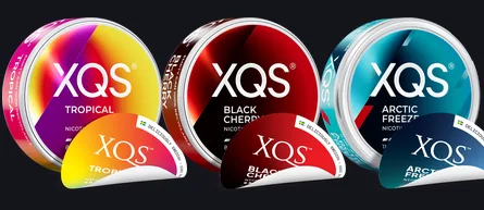 XQS nicotine pouches official cans: Tropical 8mg, Black Cherry 8mg and Arctic Freeze 11.2mg, each shown with the old lid design peeled behind the new one